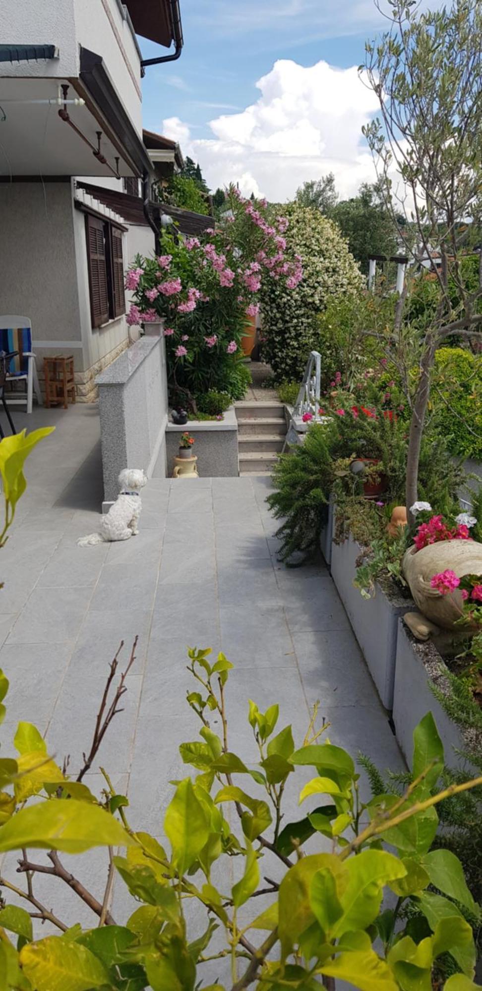 Tramontana Apartment Lucija Exterior photo