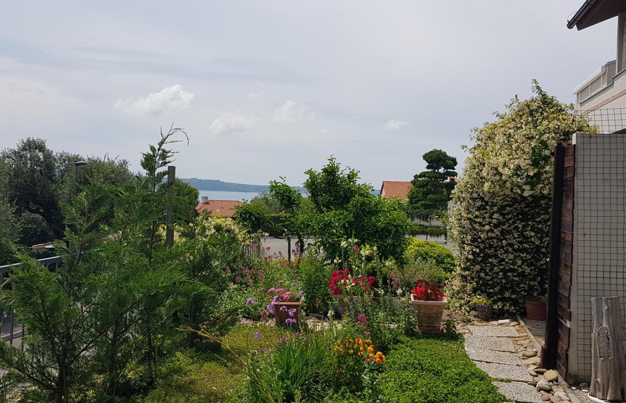 Tramontana Apartment Lucija Exterior photo