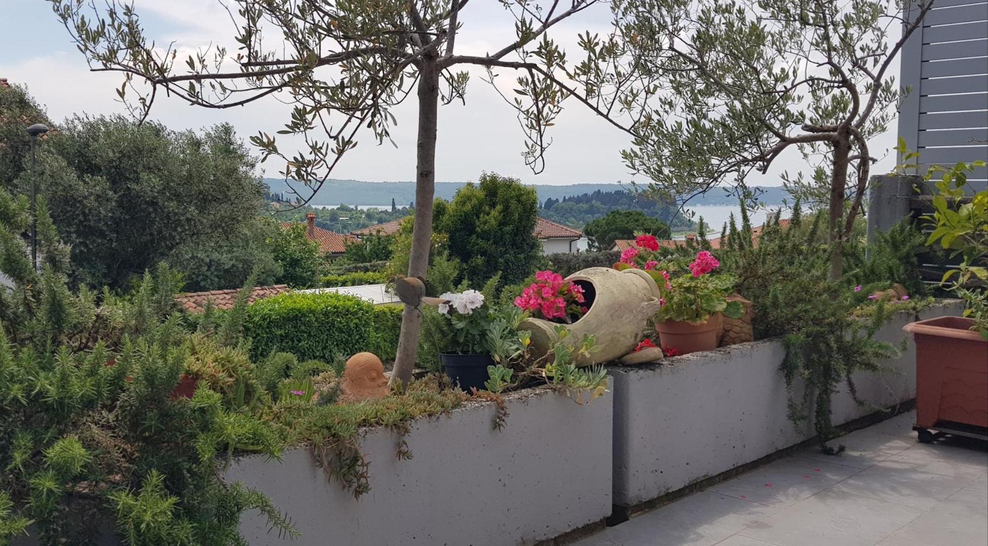 Tramontana Apartment Lucija Exterior photo